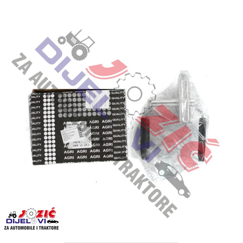 Daisy on the Ohoopee